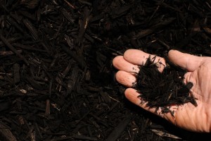 black shredded hardwood garden mulch
