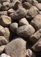 Granite Boulders - 9-12 in.