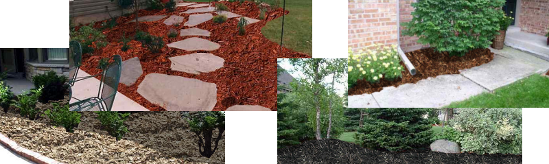mulch examples