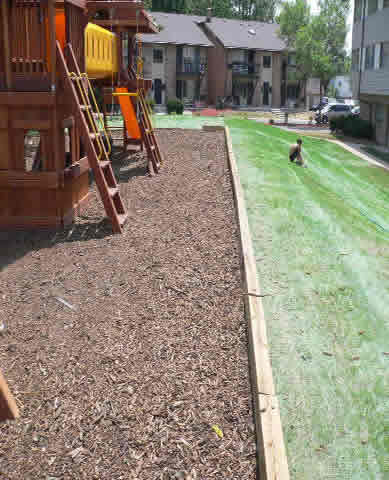 playground with mulch 5