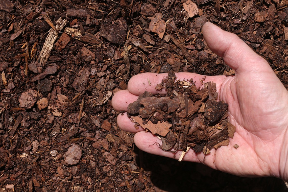 Shredded Pine Bark Mulch