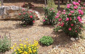 buy mulch for your landscape