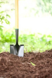 Gardening shovel in environmentally friendly wood mulch