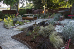 grey water garden with bark and stone mulch