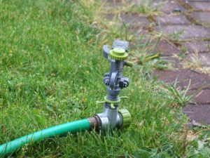 sprinkler watering the grass
