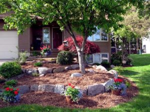 mulch for landscaping